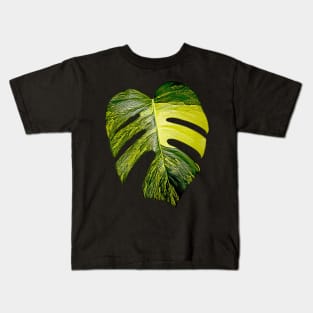 MONSTERA AUREA VARIEGATA Kids T-Shirt